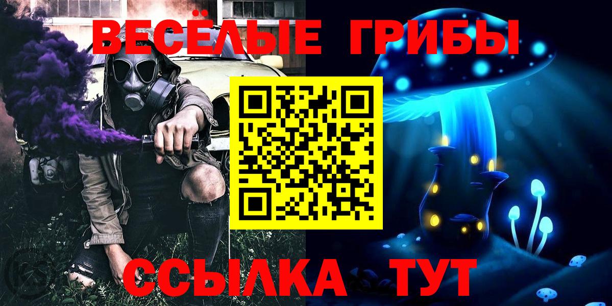 Галлюциногенные грибы MAGIC MUSHROOMS  Вход с VPN  Волгодонск 