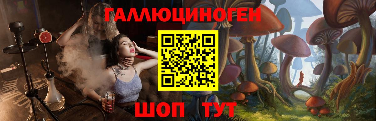 Галлюциногенные грибы Cubensis Волгодонск